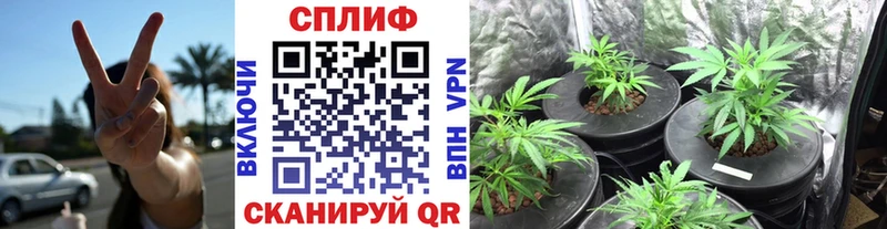 Купить наркотики Льгов АМФ Альфа ПВП Меф мяу мяу МАРИХУАНА