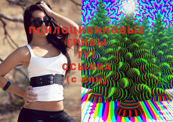кокс Верея